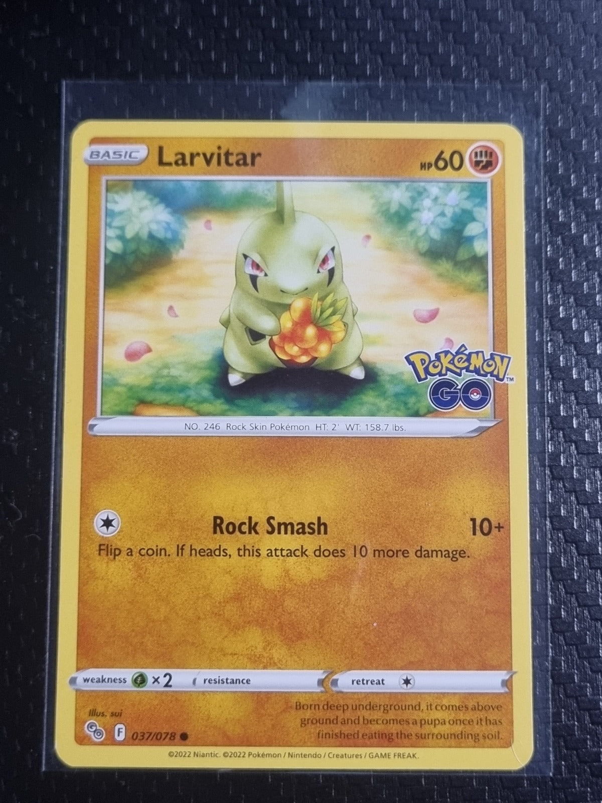 Larvitar Common Pokemon GO 037/078 NM